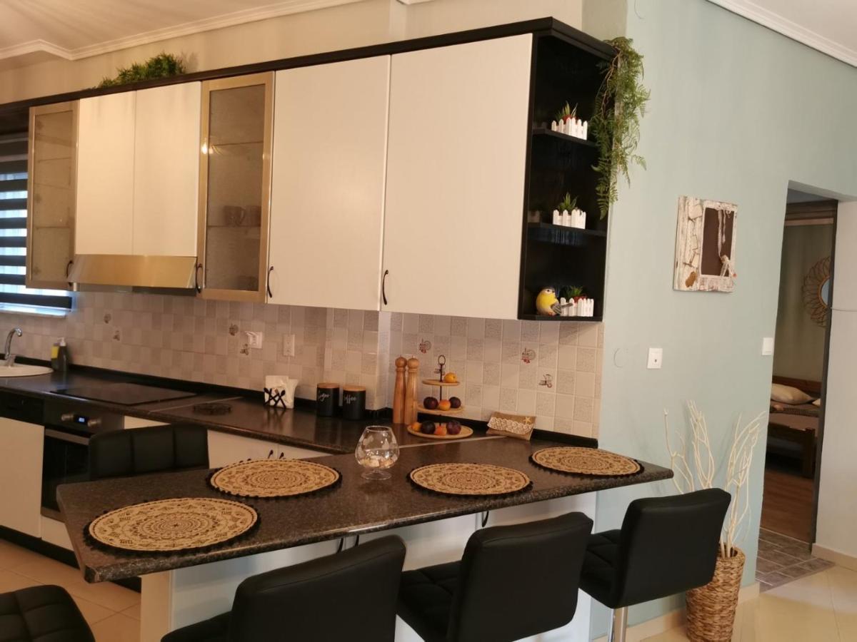Theia Analipsi Central Apartment 卡泰里尼 外观 照片