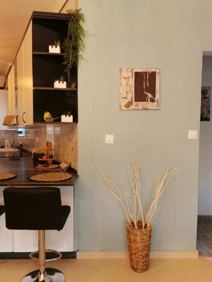 Theia Analipsi Central Apartment 卡泰里尼 外观 照片