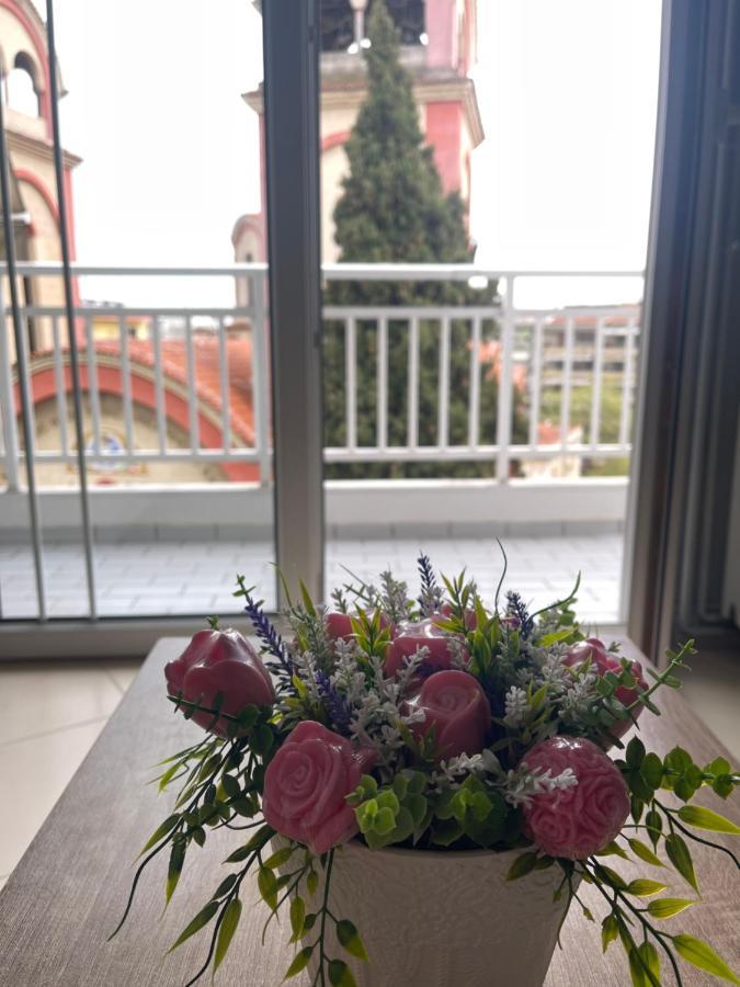 Theia Analipsi Central Apartment 卡泰里尼 外观 照片